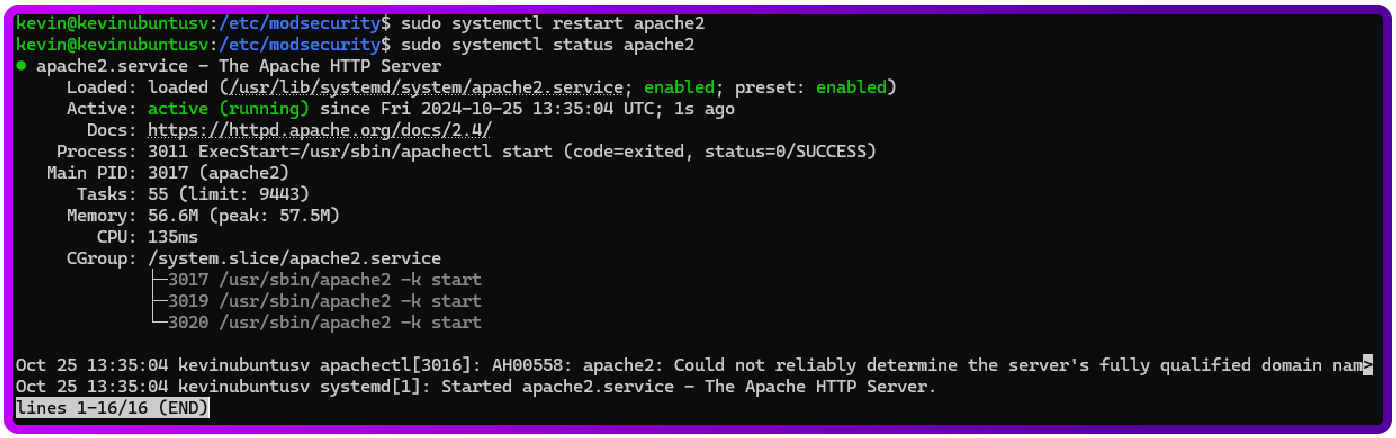 A comprehensive guide to log monitoring with ModSecurity and HAProxy