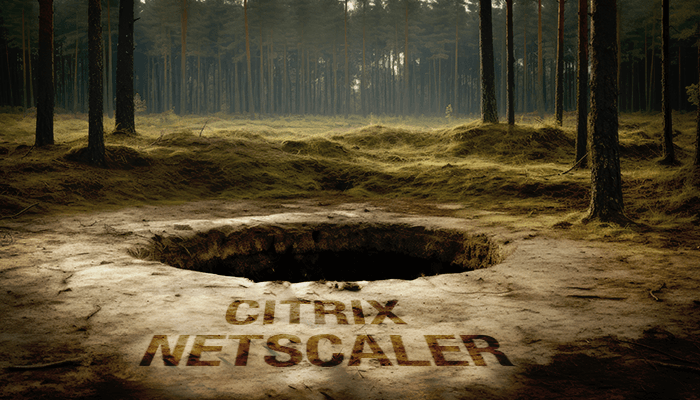 The pitfalls of backing up and restoring a Citrix NetScaler, and how to overcome them