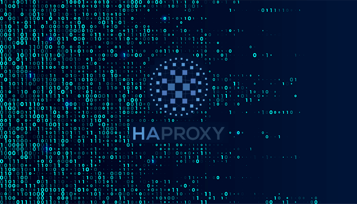 How to write an external health check script for HAProxy